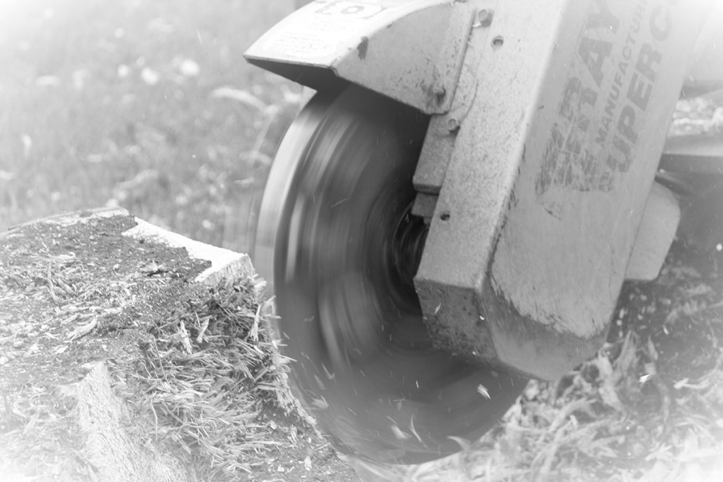 Stump Griding Stump Grinding