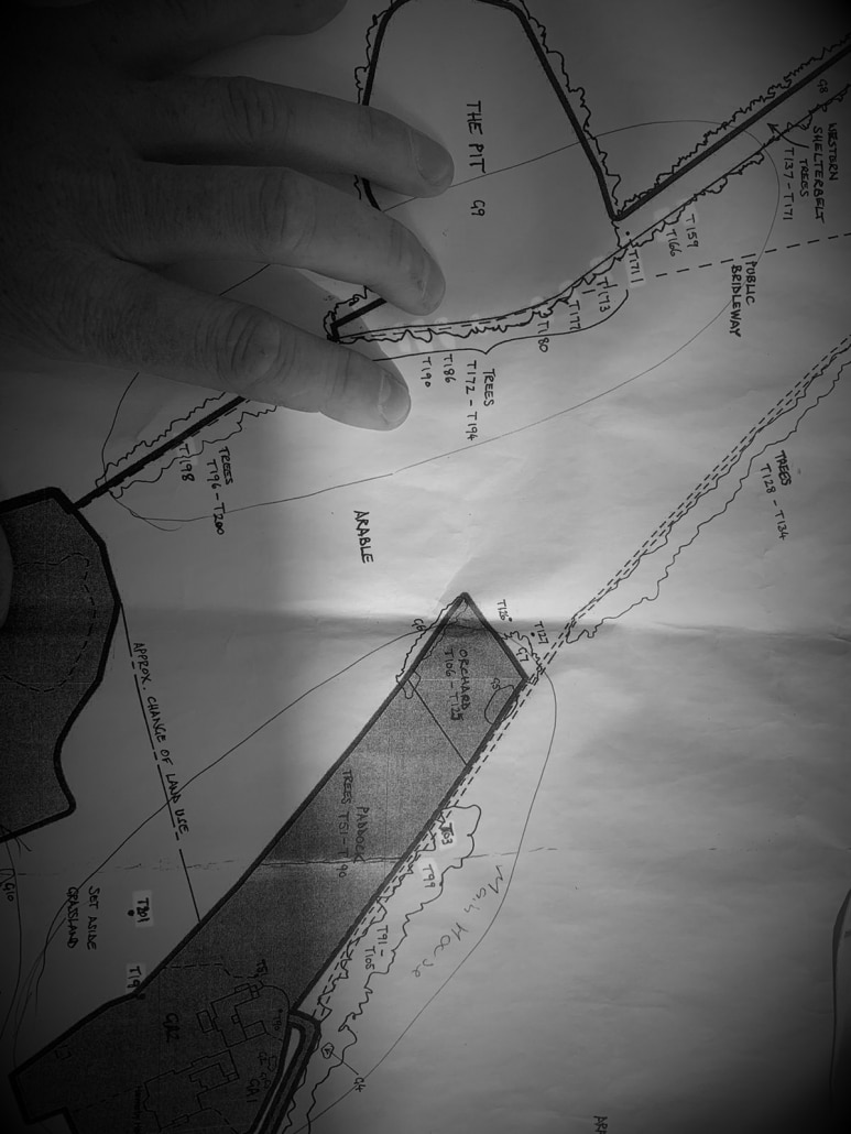 WhatsApp Image 2020-04-17 at 14.27.10 Commercial Tree Plans